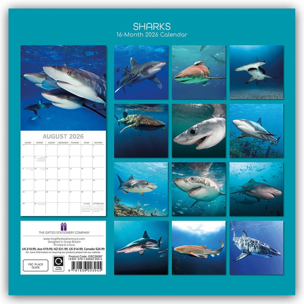 Weitere Ansicht: Sharks - Haie 2026 - 16-Monatskalender | Gifted Stationery Co. Ltd