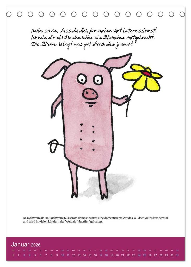 Weitere Ansicht: Schweinekalender - Alles was du über Schweine wissen wolltest! (Tischkalender 2026 DIN A5 hoch), CALVENDO Monatskalender | Calvendo, Sandra Brill