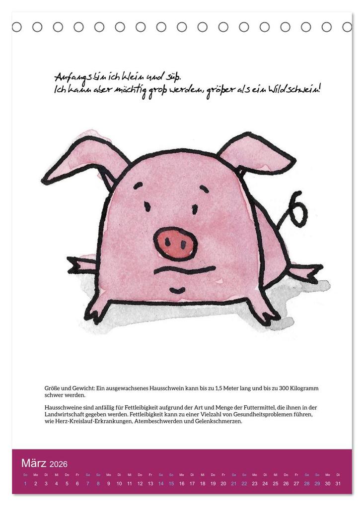 Weitere Ansicht: Schweinekalender - Alles was du über Schweine wissen wolltest! (Tischkalender 2026 DIN A5 hoch), CALVENDO Monatskalender | Calvendo, Sandra Brill