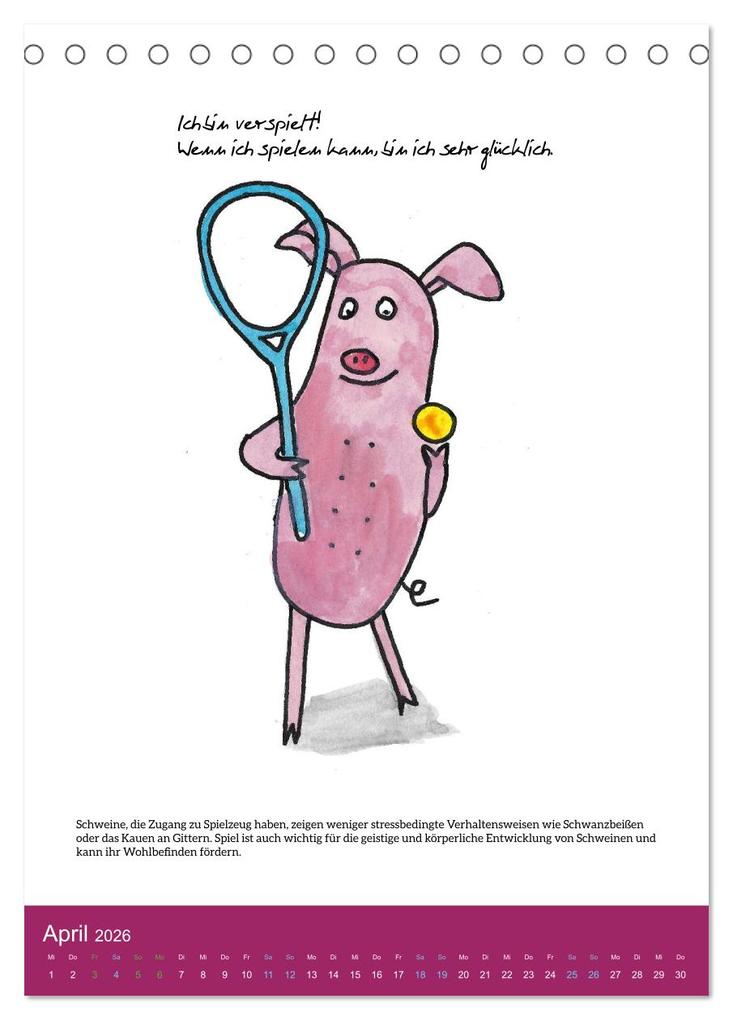 Weitere Ansicht: Schweinekalender - Alles was du über Schweine wissen wolltest! (Tischkalender 2026 DIN A5 hoch), CALVENDO Monatskalender | Calvendo, Sandra Brill