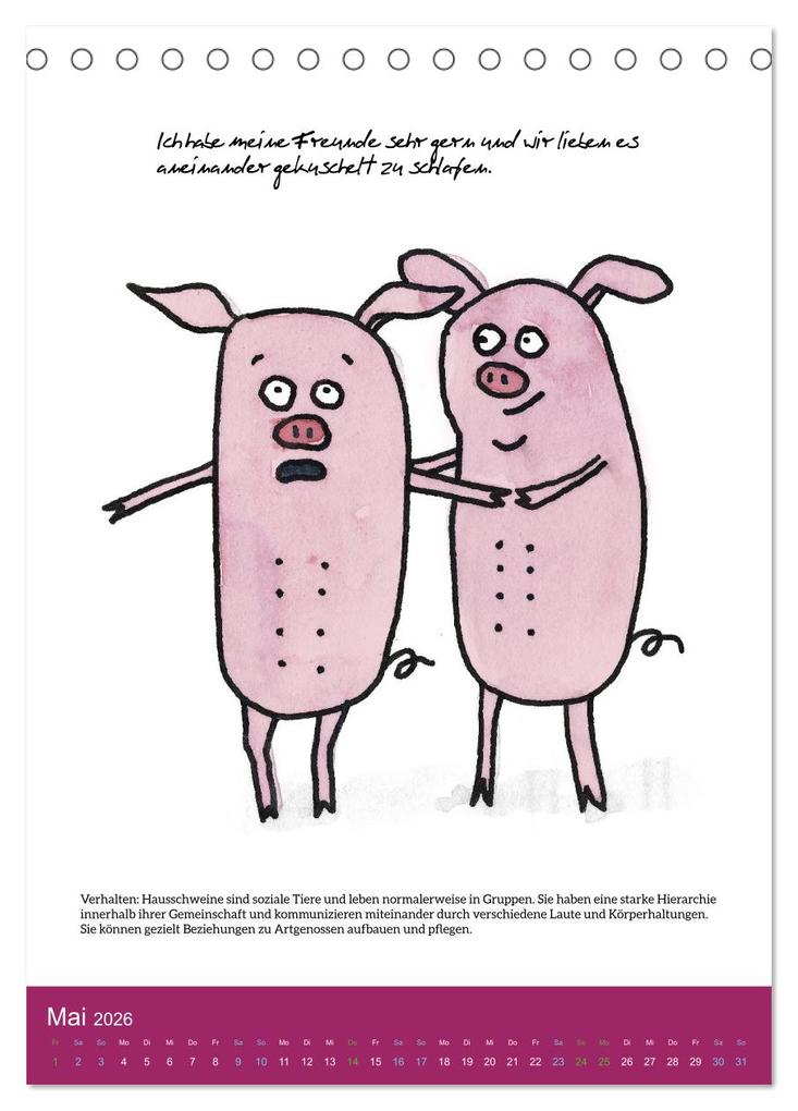 Weitere Ansicht: Schweinekalender - Alles was du über Schweine wissen wolltest! (Tischkalender 2026 DIN A5 hoch), CALVENDO Monatskalender | Calvendo, Sandra Brill