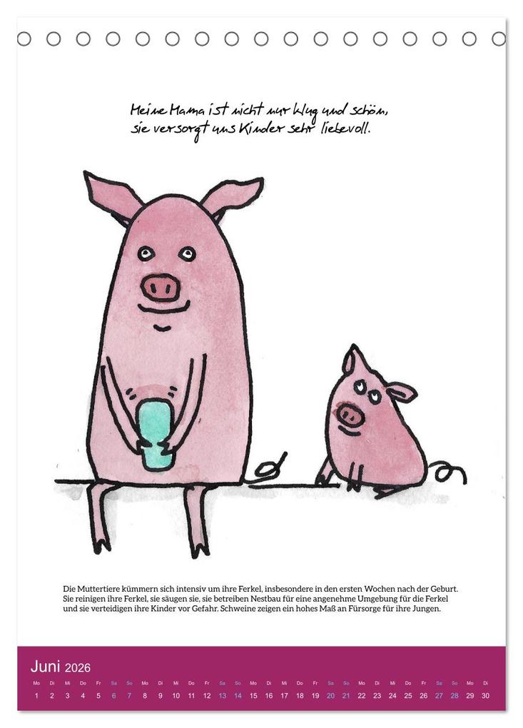 Weitere Ansicht: Schweinekalender - Alles was du über Schweine wissen wolltest! (Tischkalender 2026 DIN A5 hoch), CALVENDO Monatskalender | Calvendo, Sandra Brill
