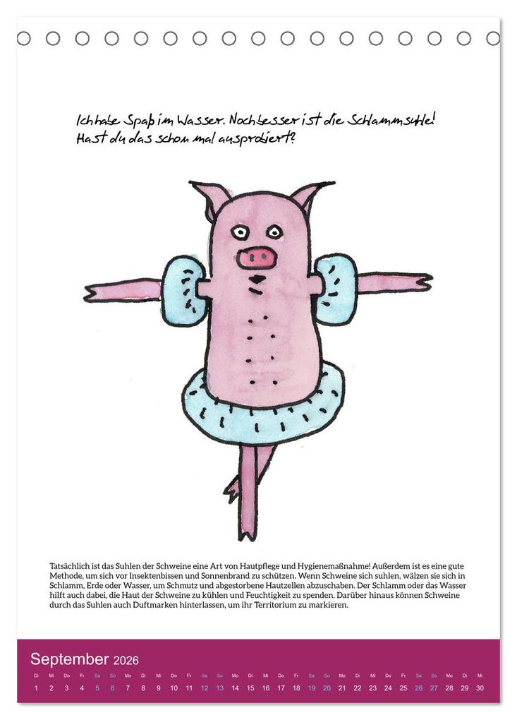 Weitere Ansicht: Schweinekalender - Alles was du über Schweine wissen wolltest! (Tischkalender 2026 DIN A5 hoch), CALVENDO Monatskalender | Calvendo, Sandra Brill
