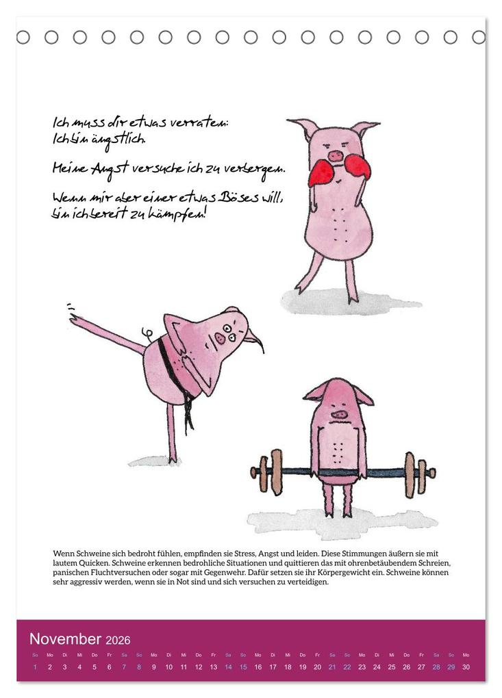 Weitere Ansicht: Schweinekalender - Alles was du über Schweine wissen wolltest! (Tischkalender 2026 DIN A5 hoch), CALVENDO Monatskalender | Calvendo, Sandra Brill
