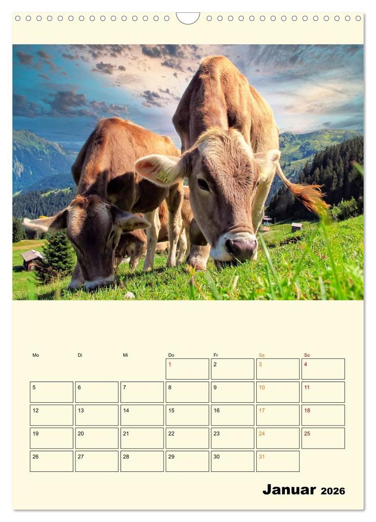 Weitere Ansicht: Glückliche Bergkühe (Wandkalender 2026 DIN A3 hoch), CALVENDO Monatskalender | Peter Roder, Calvendo