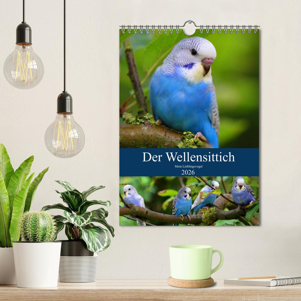 Weitere Ansicht: Der Wellensittich - Mein Lieblingsvogel (Wandkalender 2026 DIN A4 hoch), CALVENDO Monatskalender | Björn Bergmann, Calvendo