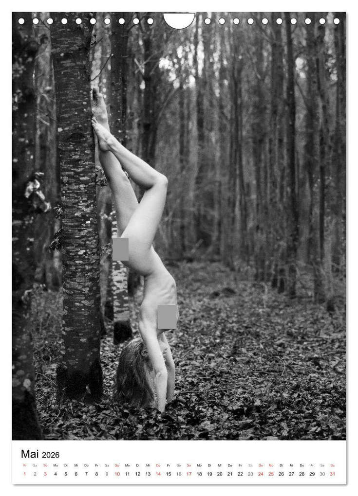 Weitere Ansicht: BaumAkte (Wandkalender 2026 DIN A4 hoch), CALVENDO Monatskalender | Thomas Bichler, Calvendo