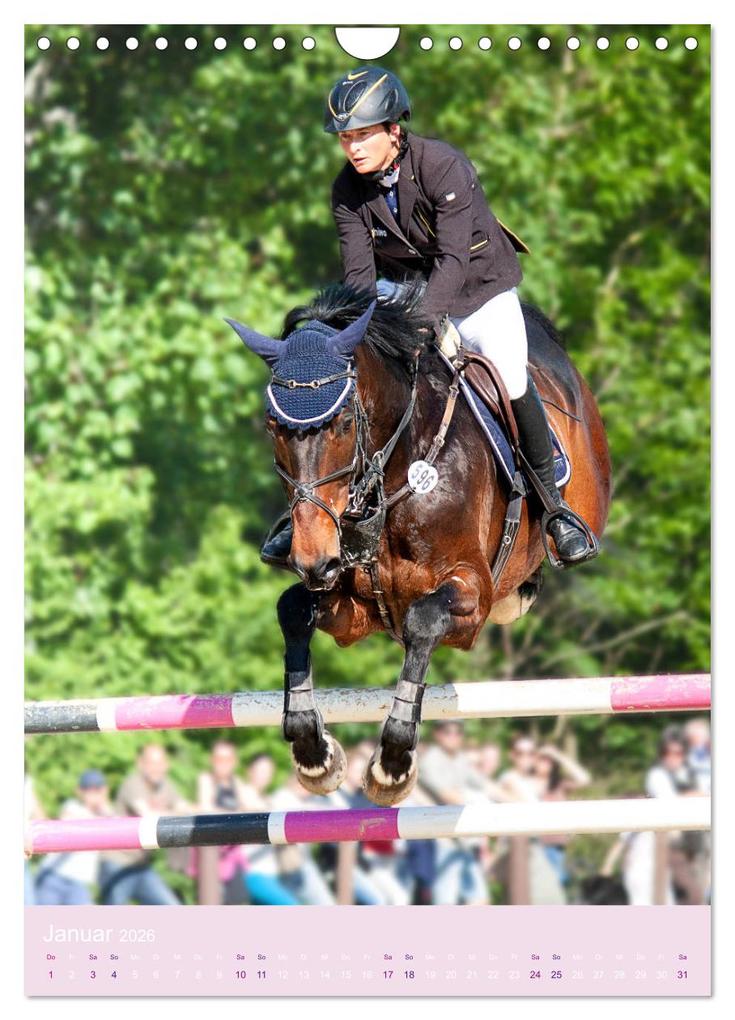 Weitere Ansicht: Springreiter in Aktion (Wandkalender 2026 DIN A4 hoch), CALVENDO Monatskalender | Calvendo, Marion Sixt