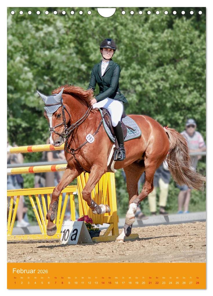 Weitere Ansicht: Springreiter in Aktion (Wandkalender 2026 DIN A4 hoch), CALVENDO Monatskalender | Calvendo, Marion Sixt