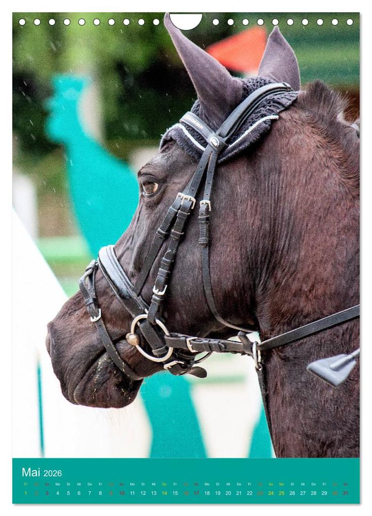 Weitere Ansicht: Springreiter in Aktion (Wandkalender 2026 DIN A4 hoch), CALVENDO Monatskalender | Calvendo, Marion Sixt