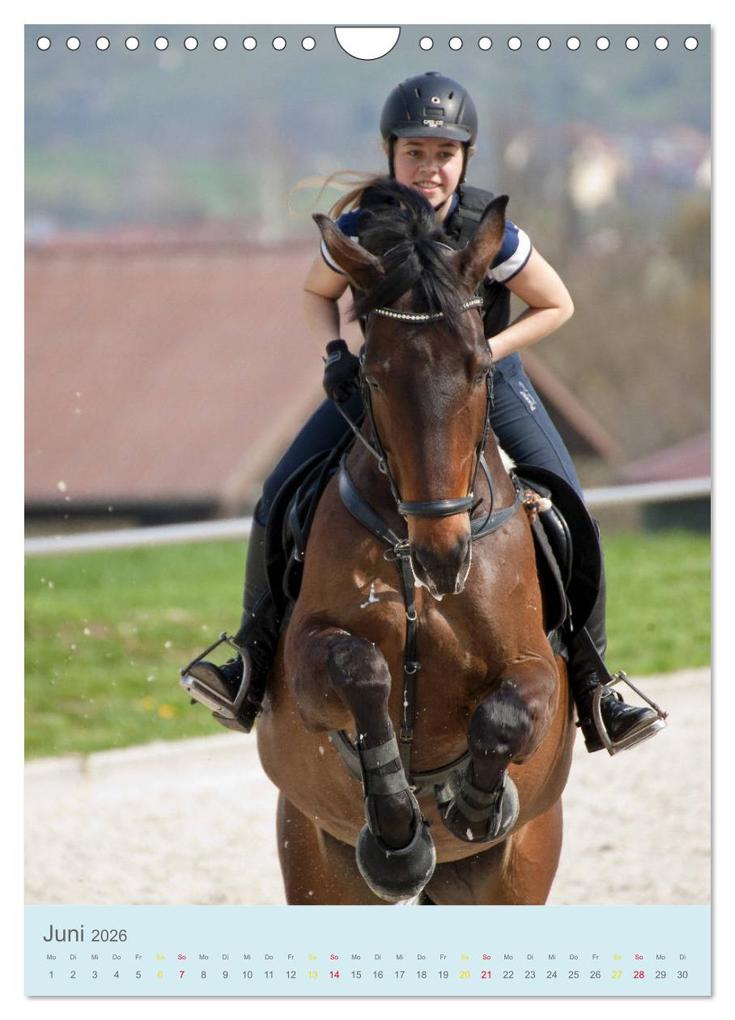Weitere Ansicht: Springreiter in Aktion (Wandkalender 2026 DIN A4 hoch), CALVENDO Monatskalender | Calvendo, Marion Sixt