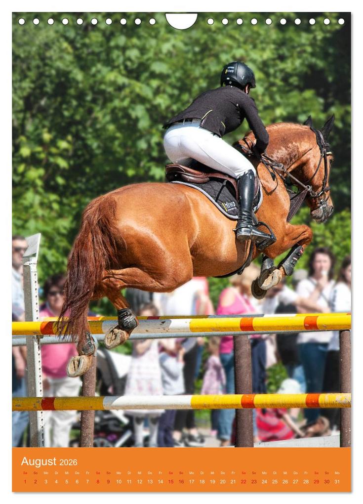 Weitere Ansicht: Springreiter in Aktion (Wandkalender 2026 DIN A4 hoch), CALVENDO Monatskalender | Calvendo, Marion Sixt