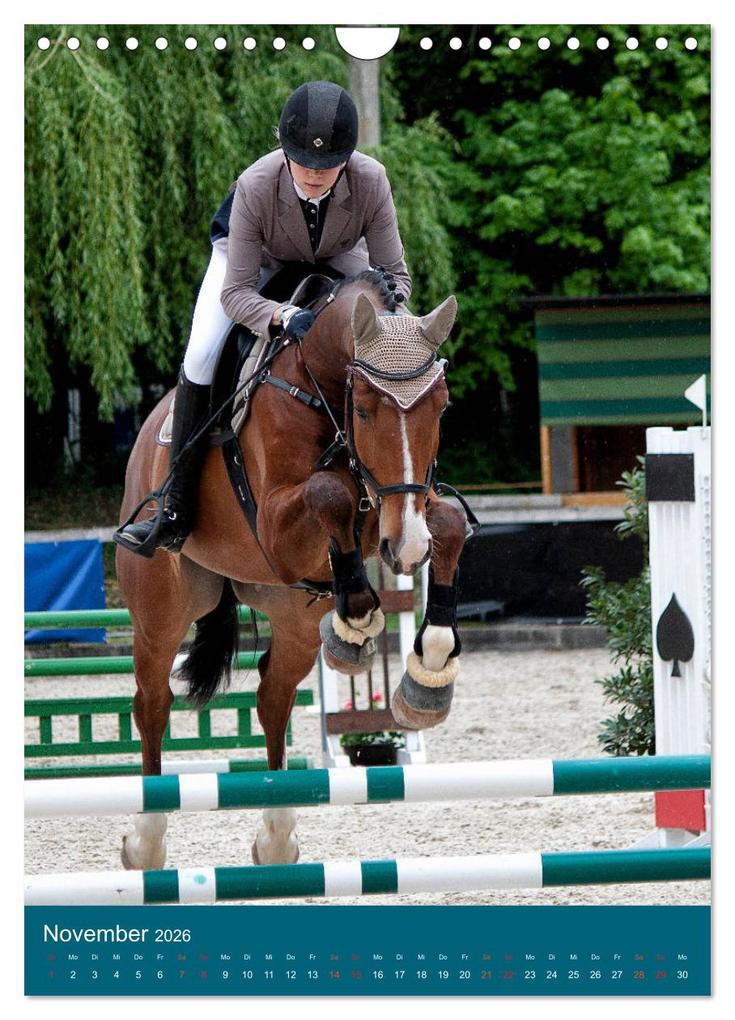 Weitere Ansicht: Springreiter in Aktion (Wandkalender 2026 DIN A4 hoch), CALVENDO Monatskalender | Calvendo, Marion Sixt
