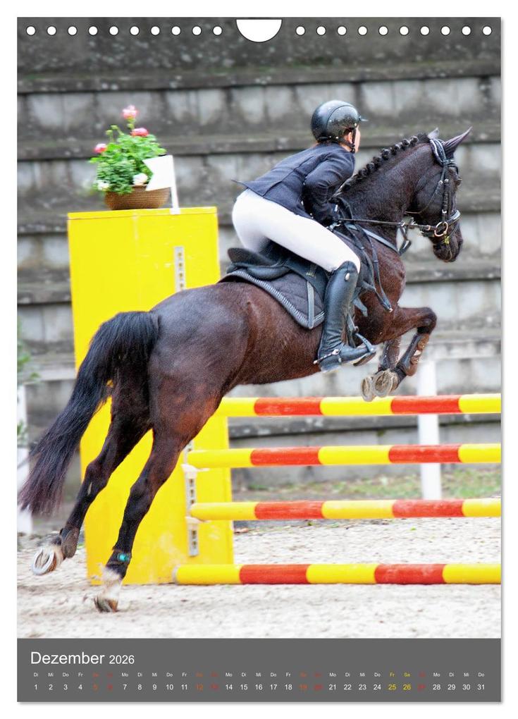 Weitere Ansicht: Springreiter in Aktion (Wandkalender 2026 DIN A4 hoch), CALVENDO Monatskalender | Calvendo, Marion Sixt