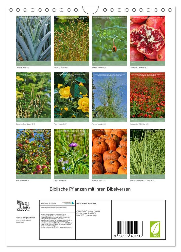 Weitere Ansicht: Biblische Pflanzen mit ihren Bibelversen (Wandkalender 2026 DIN A4 hoch), CALVENDO Monatskalender | Calvendo, Hans-Georg Vorndran