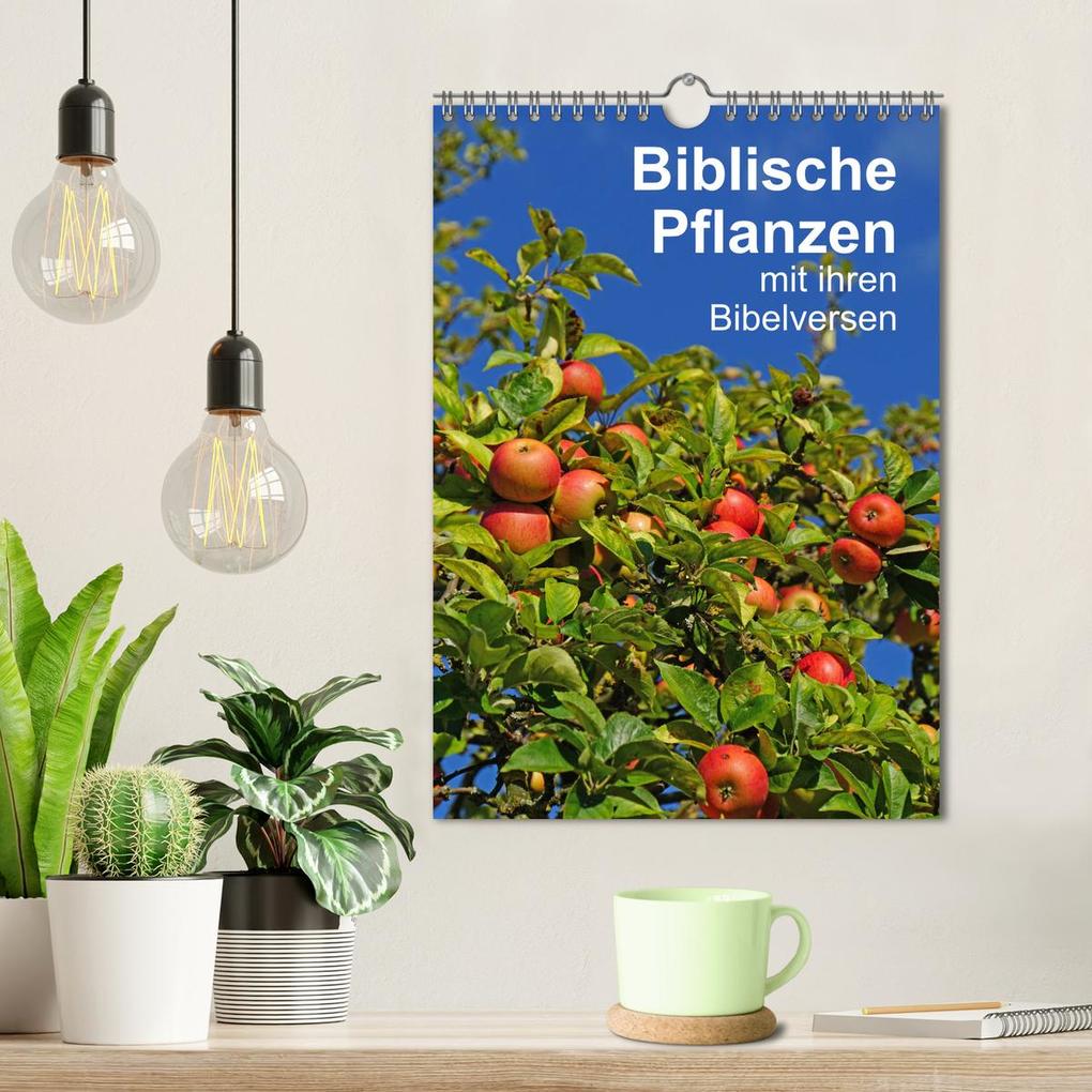 Weitere Ansicht: Biblische Pflanzen mit ihren Bibelversen (Wandkalender 2026 DIN A4 hoch), CALVENDO Monatskalender | Calvendo, Hans-Georg Vorndran