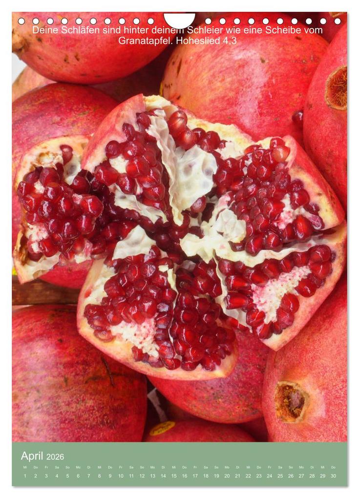 Weitere Ansicht: Biblische Pflanzen mit ihren Bibelversen (Wandkalender 2026 DIN A4 hoch), CALVENDO Monatskalender | Calvendo, Hans-Georg Vorndran