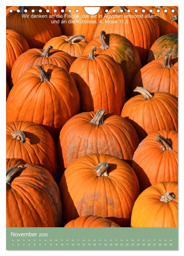 Weitere Ansicht: Biblische Pflanzen mit ihren Bibelversen (Wandkalender 2026 DIN A4 hoch), CALVENDO Monatskalender | Calvendo, Hans-Georg Vorndran