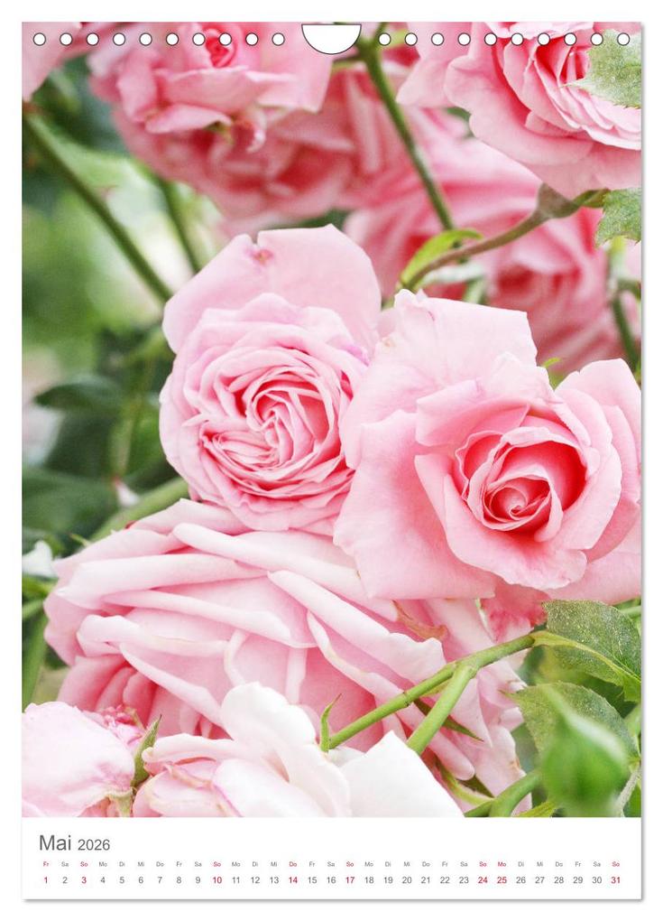 Weitere Ansicht: Glücklich mit Rosen (Wandkalender 2026 DIN A4 hoch), CALVENDO Monatskalender | Calvendo, Gisela Kruse