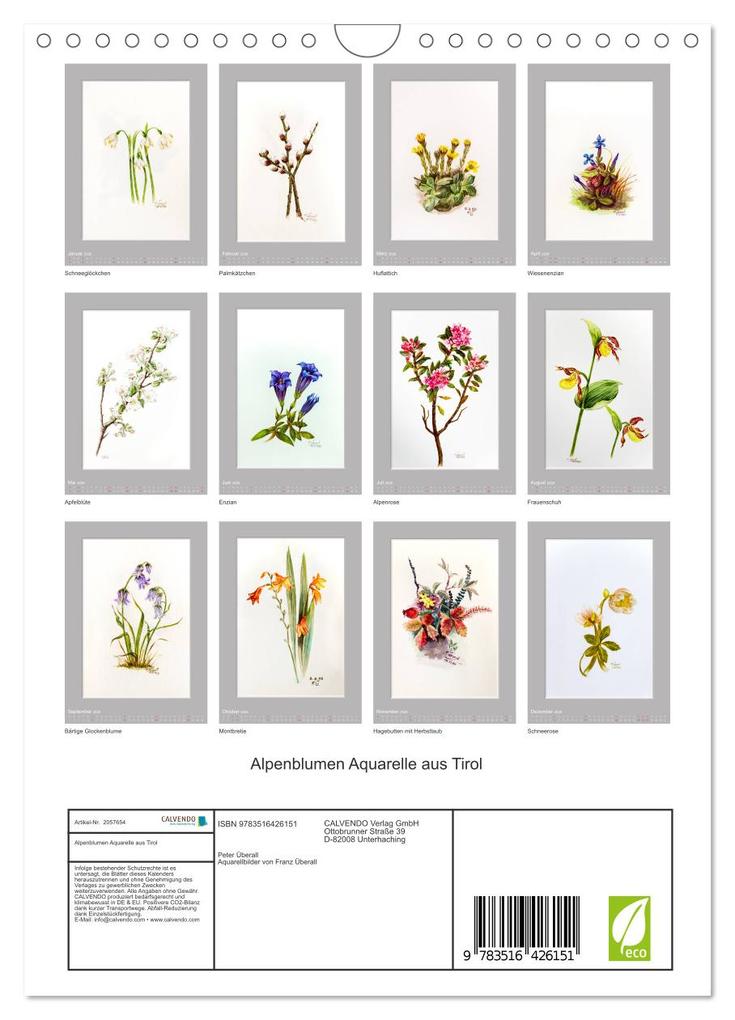 Weitere Ansicht: Alpenblumen Aquarelle aus Tirol (Wandkalender 2026 DIN A4 hoch), CALVENDO Monatskalender | Peter Überall, Calvendo