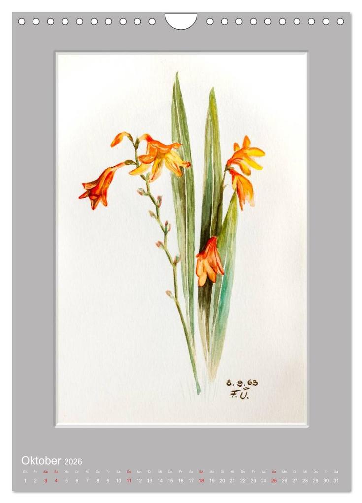 Weitere Ansicht: Alpenblumen Aquarelle aus Tirol (Wandkalender 2026 DIN A4 hoch), CALVENDO Monatskalender | Peter Überall, Calvendo