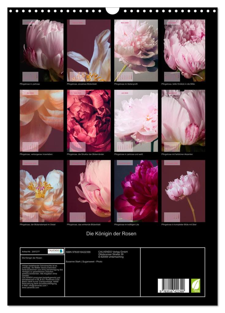 Weitere Ansicht: Die Königin der Rosen (Wandkalender 2026 DIN A3 hoch), CALVENDO Monatskalender | Susanne Stark Sugarsweet - Photo, Calvendo