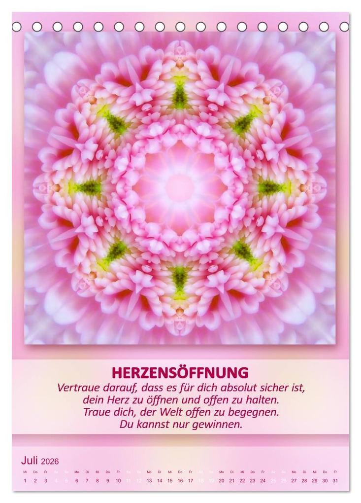 Weitere Ansicht: Light Energy Mandalas - Kalender - Vol. 1 (Tischkalender 2026 DIN A5 hoch), CALVENDO Monatskalender | Calvendo, Gaby Shayana Hoffmann