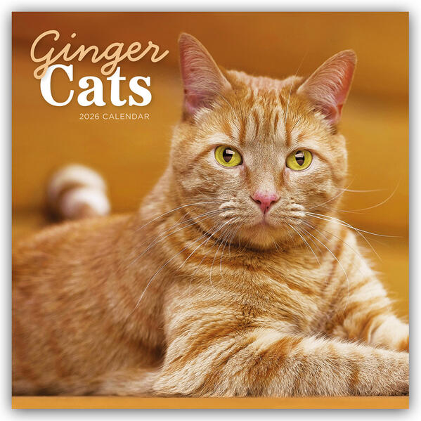 Produktbild: Ginger Cats - Rothaarige Katzen 2026 - Wand-Kalender | Carousel Calendar