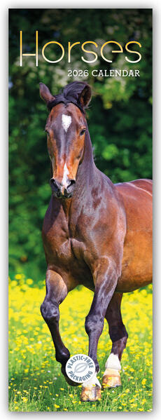 Produktbild: Horses - Pferde 2026 - Slimline-Kalender | Carousel Calendar