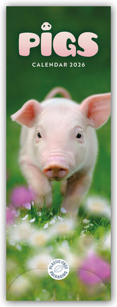 Produktbild: Pigs - Ferkel - Schweinchen 2026 - Slimline-Kalender | Carousel Calendar