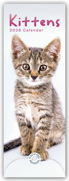 Produktbild: Kittens - Kätzchen - Katzenjunge 2026 - Slimline-Kalender | Carousel Calendar