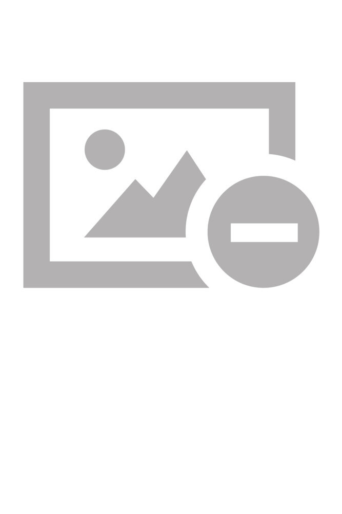Produktbild: Pesquisas sobre os mitos de Trojan, vol. II. | Elisabeth Scheele