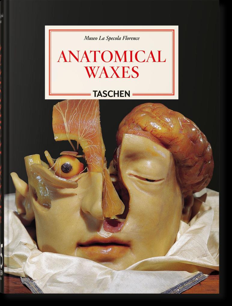 Produktbild: Anatomical Waxes | Marta Poggesi