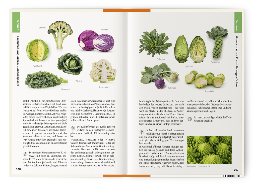 Weitere Ansicht: Was wir essen | Oliver Tackenberg