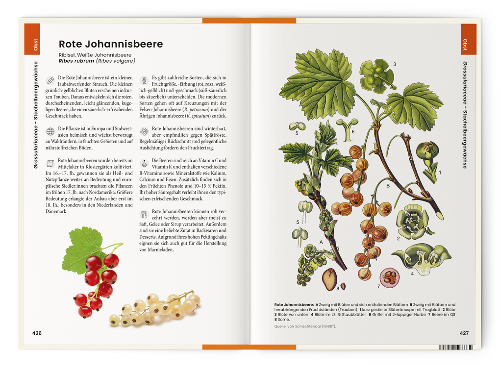 Weitere Ansicht: Was wir essen | Oliver Tackenberg