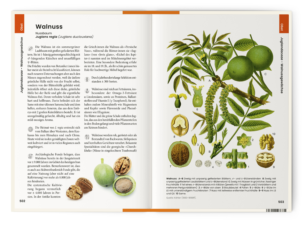 Weitere Ansicht: Was wir essen | Oliver Tackenberg