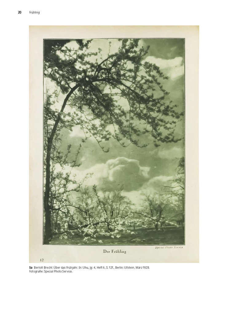 Weitere Ansicht: Fotopoesie | Michael Will