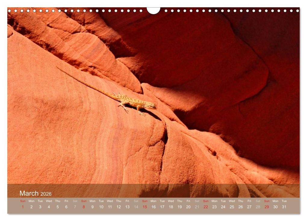 Weitere Ansicht: Lights and Colours of the Antelope Canyon (Wall Calendar 2026 DIN A3 landscape), CALVENDO 12 Month Wall Calendar | Calvendo, Sylvia Seibl, Crystallights By Sylvia Seibl