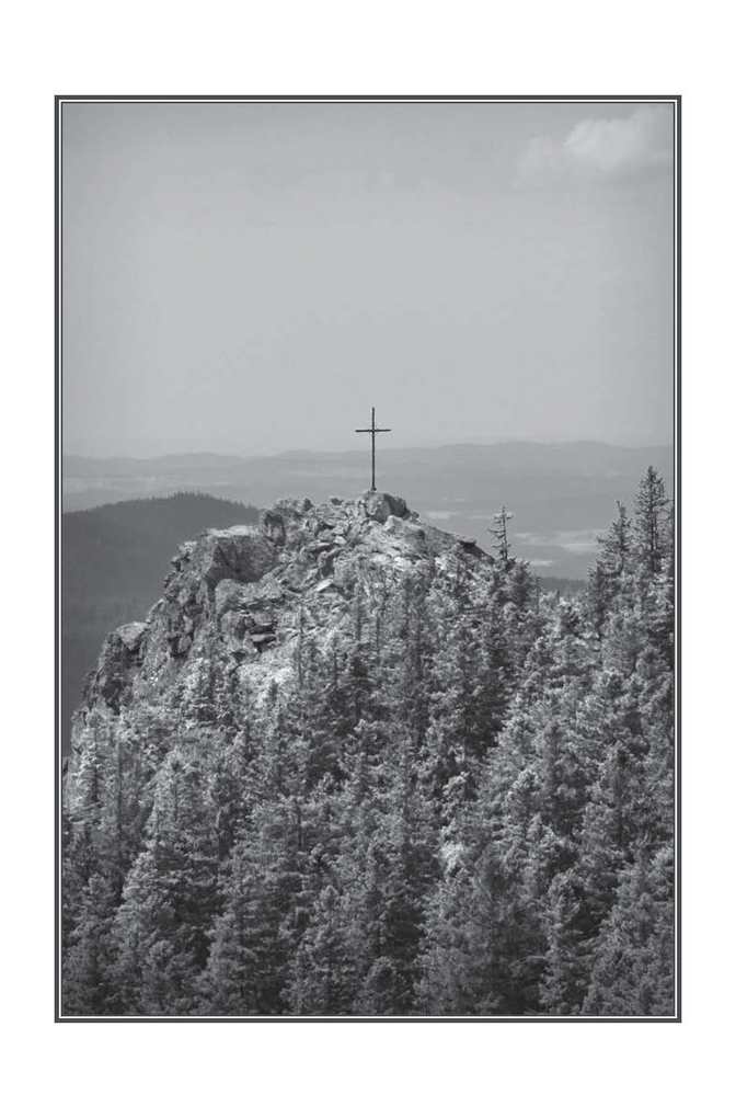 Weitere Ansicht: Ludolf Silvanus | Erika Eichenseer