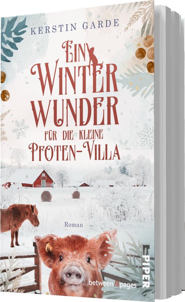Weitere Ansicht: Ein Winterwunder für die kleine Pfoten-Villa | Kerstin Garde