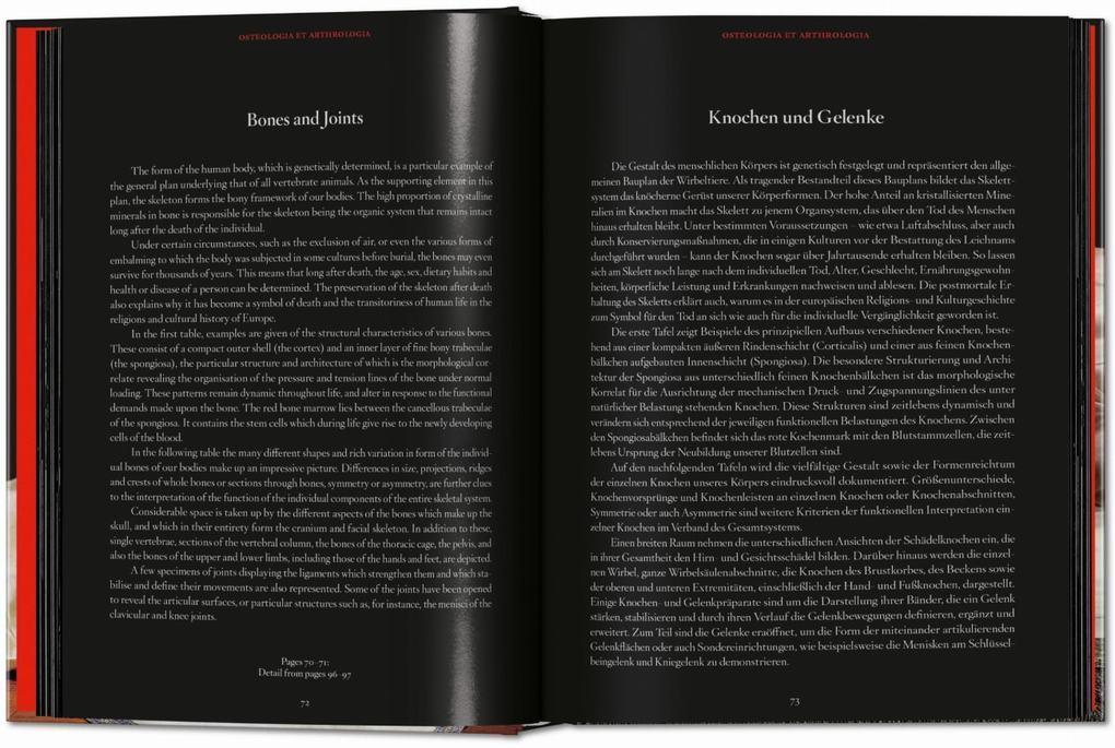 Weitere Ansicht: Anatomical Waxes | Marta Poggesi