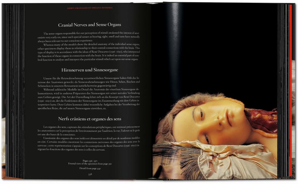 Weitere Ansicht: Anatomical Waxes | Marta Poggesi