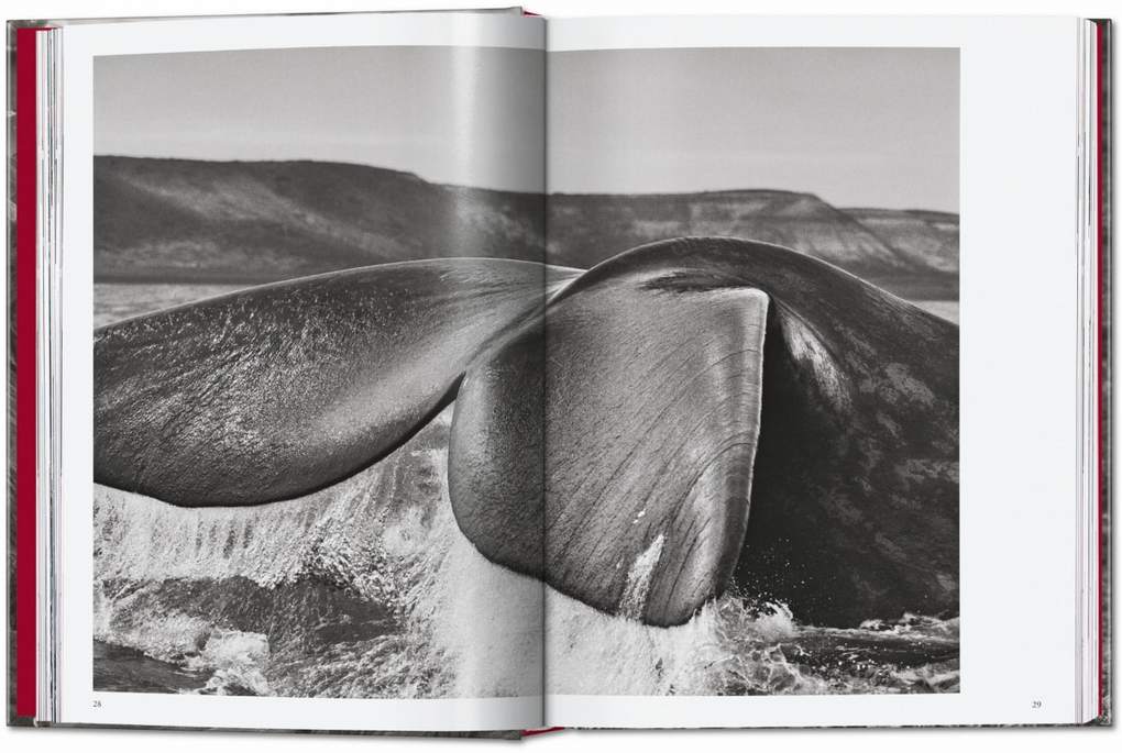 Weitere Ansicht: Sebastião Salgado. Genesis. 45th Ed. | Lélia Wanick Salgado