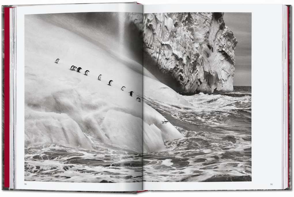 Weitere Ansicht: Sebastião Salgado. Genesis. 45th Ed. | Lélia Wanick Salgado