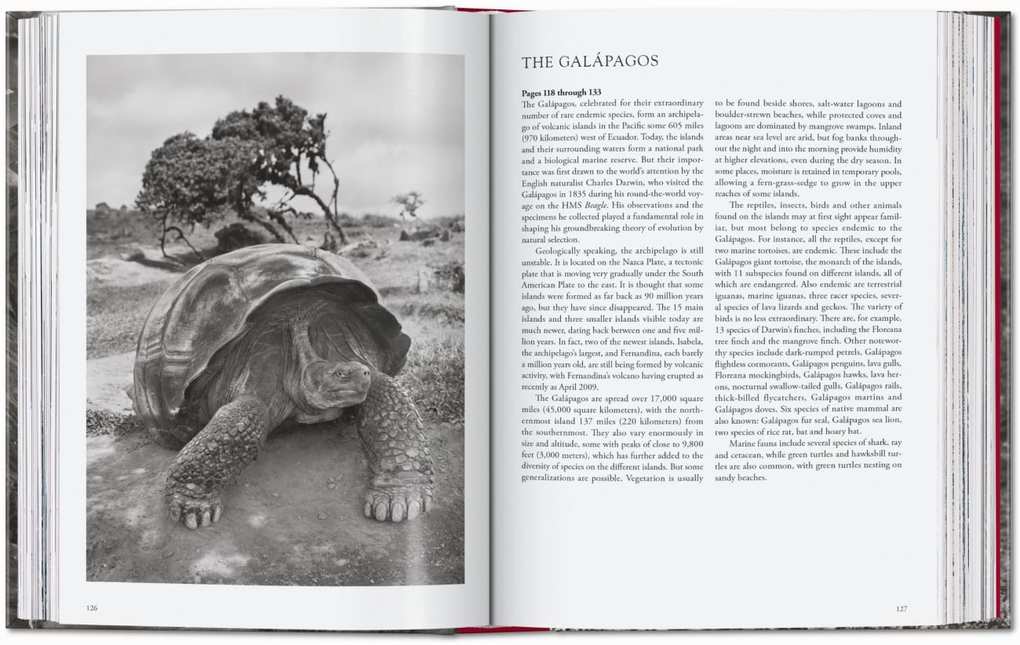Weitere Ansicht: Sebastião Salgado. Genesis. 45th Ed. | Lélia Wanick Salgado