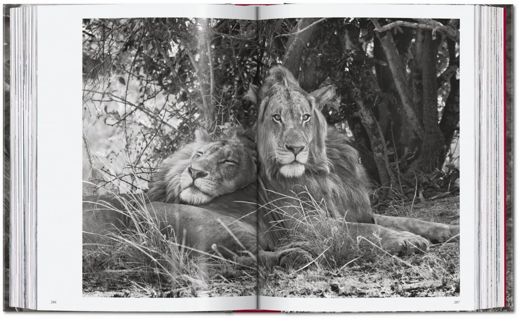 Weitere Ansicht: Sebastião Salgado. Genesis. 45th Ed. | Lélia Wanick Salgado