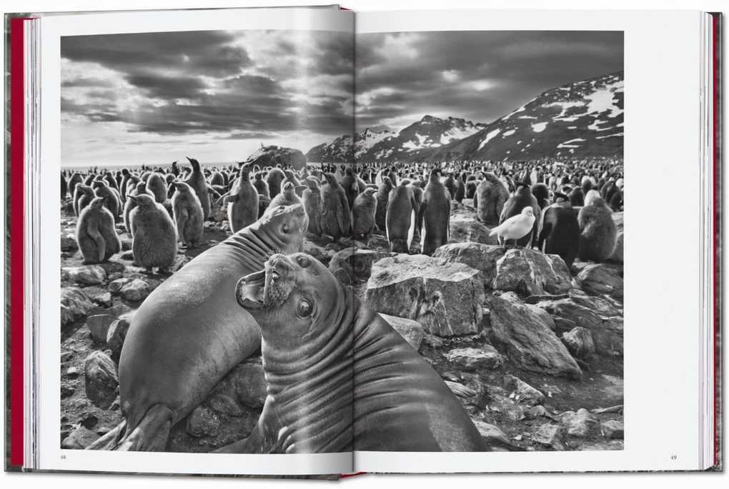 Weitere Ansicht: Sebastião Salgado. Genesis. 45th Ed. | Lélia Wanick Salgado
