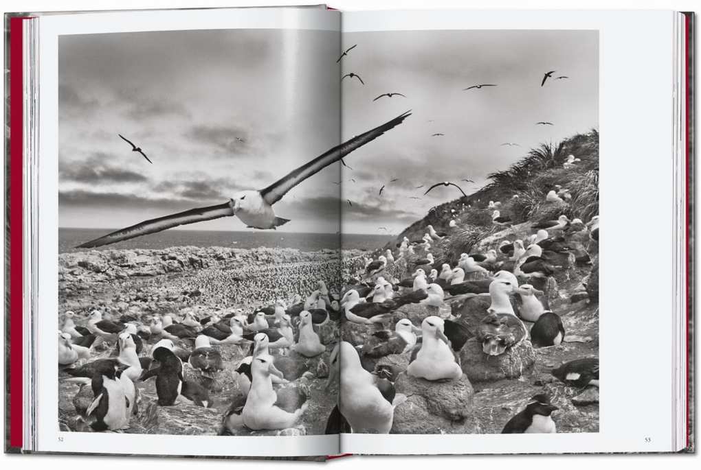 Weitere Ansicht: Sebastião Salgado. Genesis. 45th Ed. | Lélia Wanick Salgado