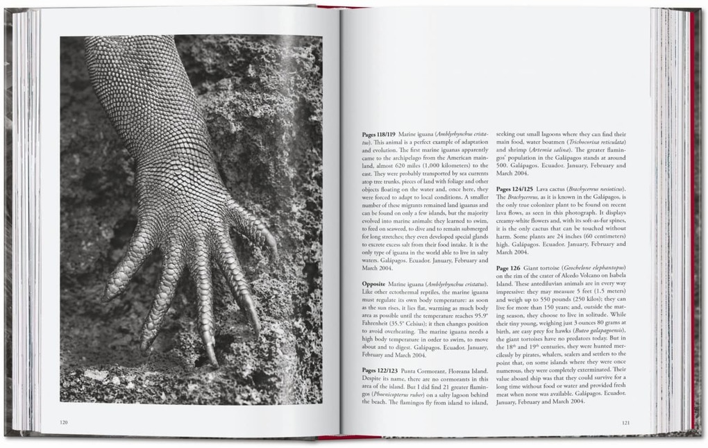 Weitere Ansicht: Sebastião Salgado. Genesis. 45th Ed. | Lélia Wanick Salgado