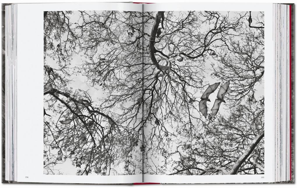 Weitere Ansicht: Sebastião Salgado. Genesis. 45th Ed. | Lélia Wanick Salgado